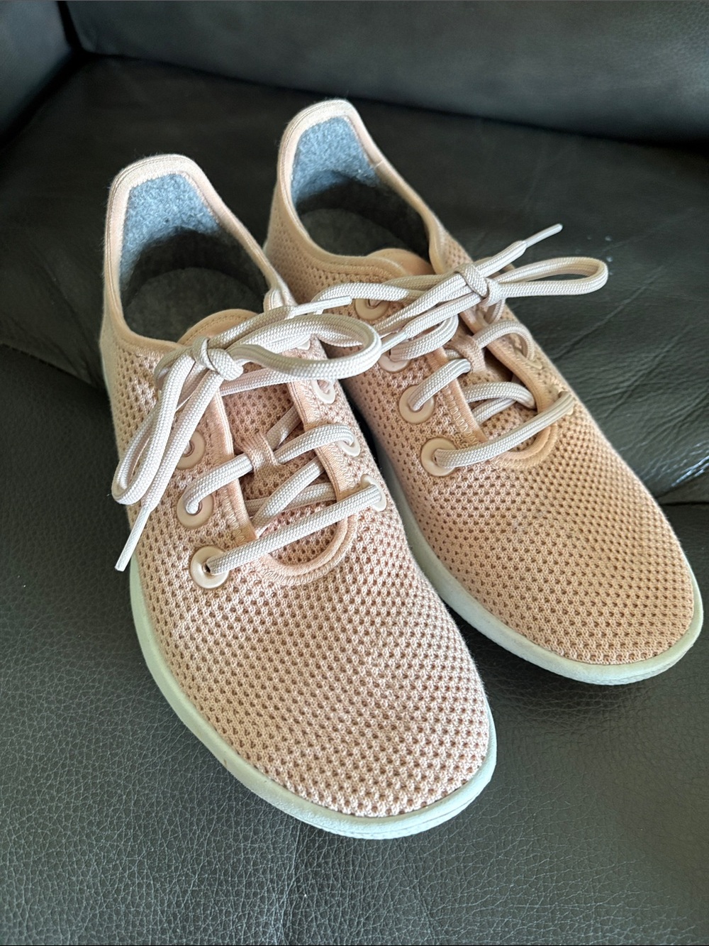allbirds Women’s Knit Lace-Up Sneakers in Pale Pink